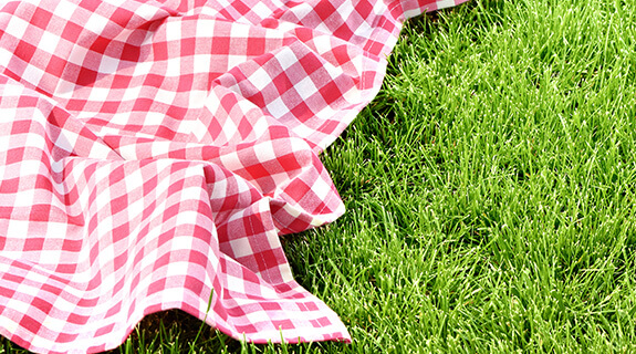 Picknick und Brunch Rezepte